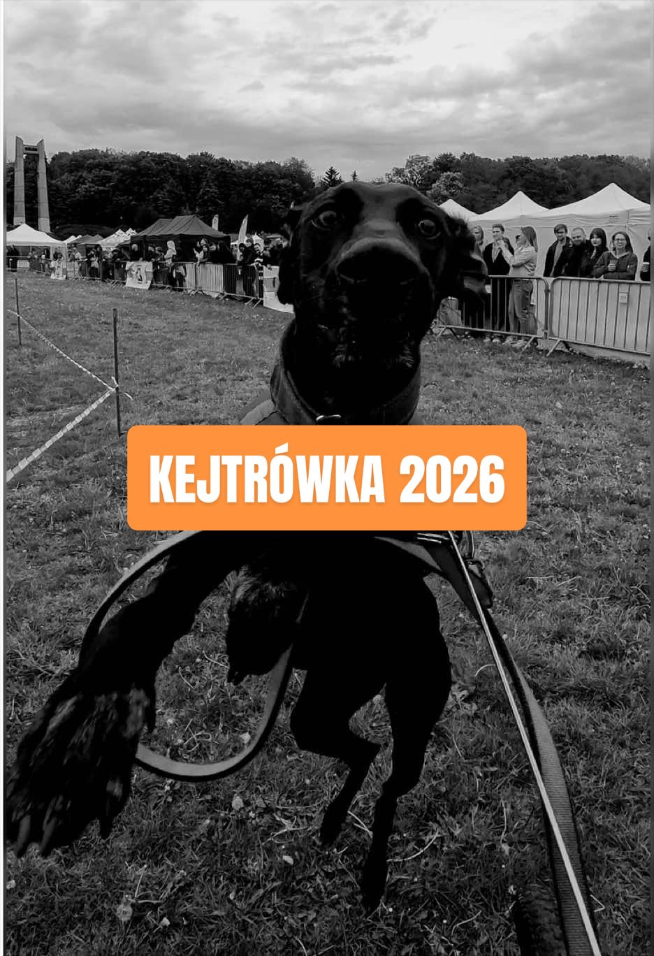 @Agnieszka Ignaszak bikejoring