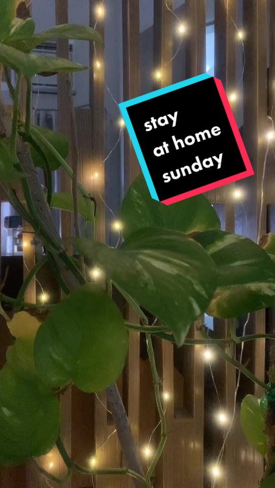 @rheacaguete