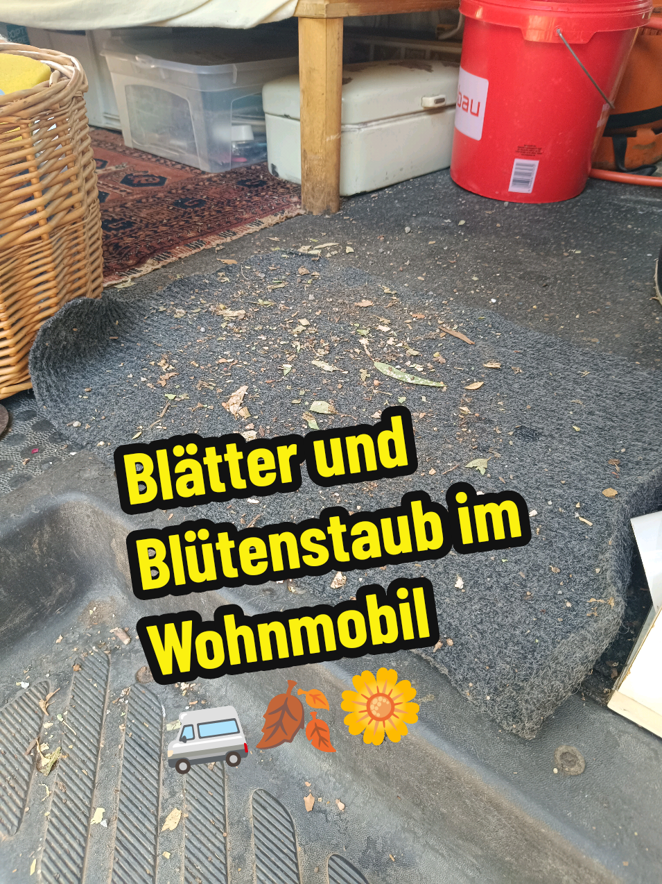 @berndout