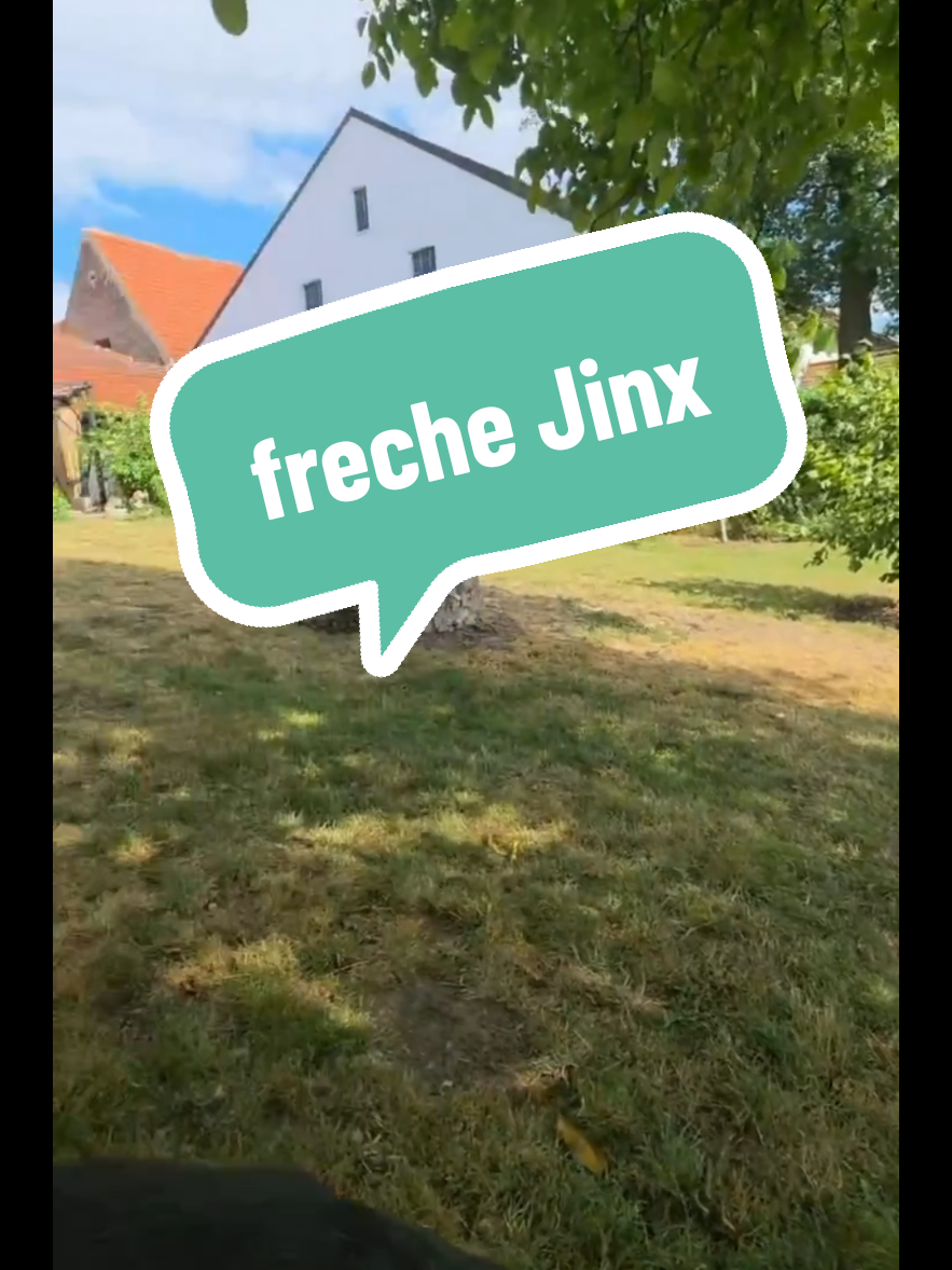 @Akashija