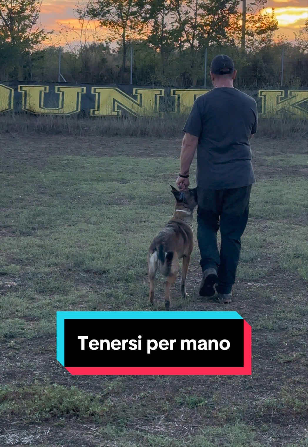 @LifeBound K9