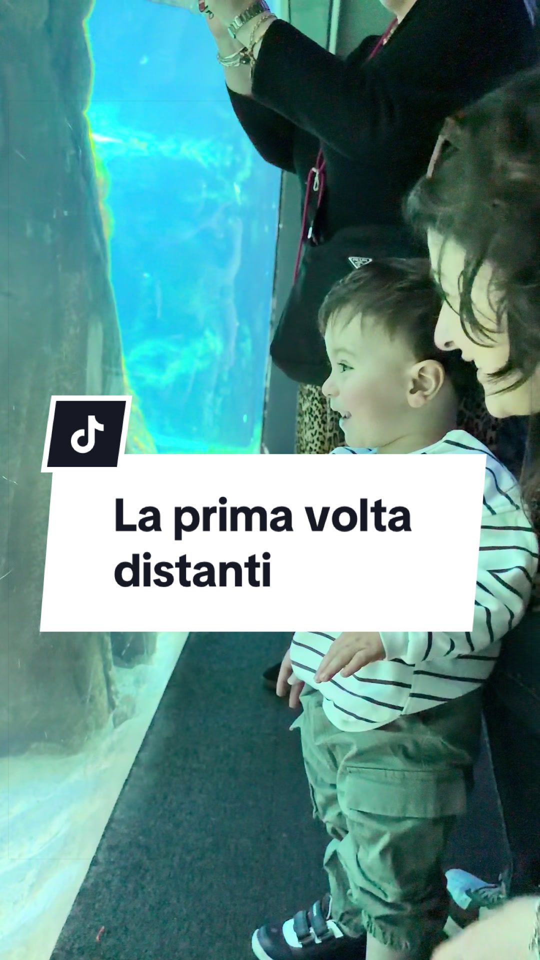 @Angelo Basile