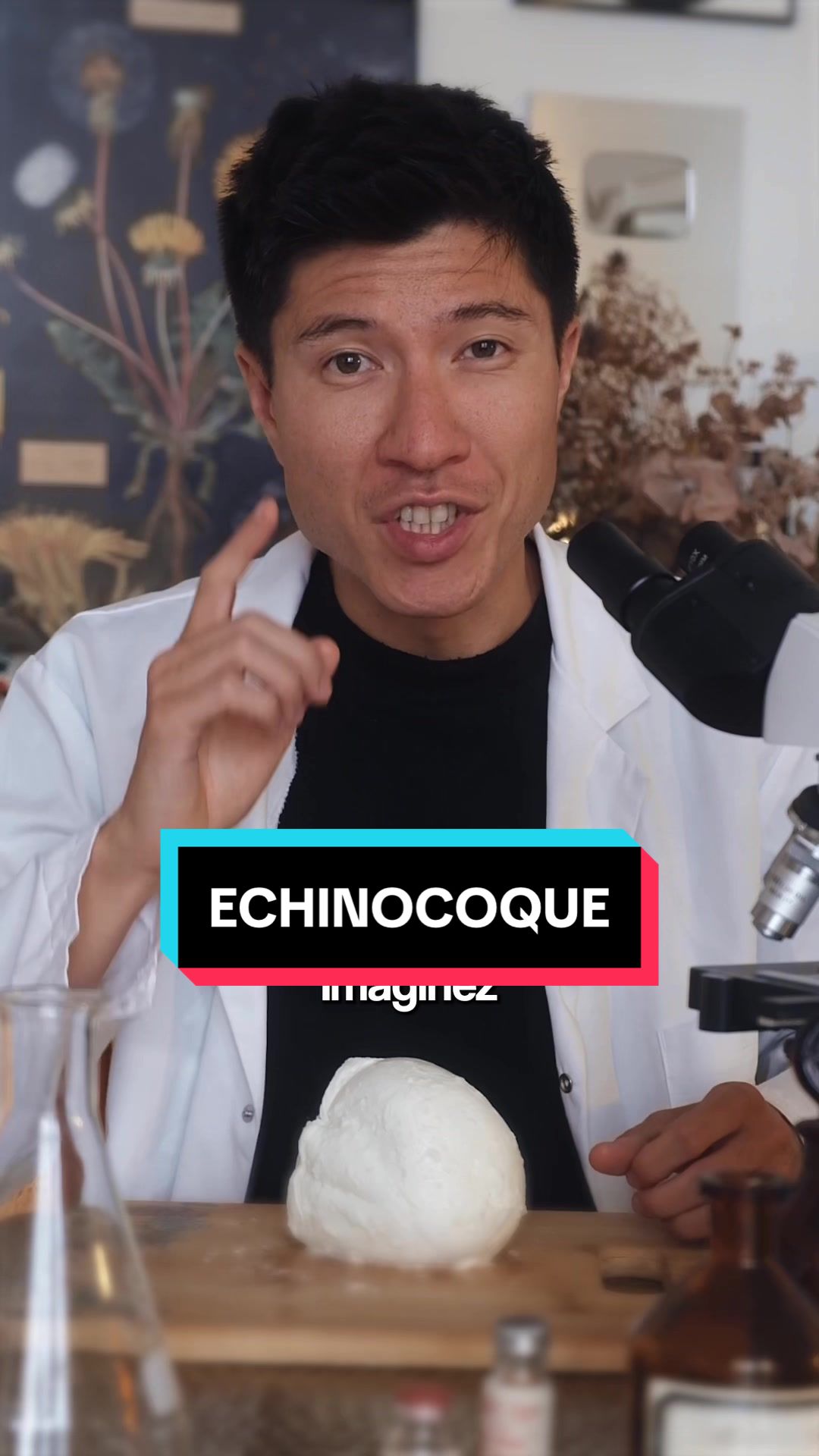 @Tangleroux
