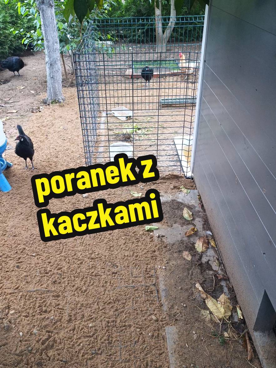 @Marcin ogrodnik