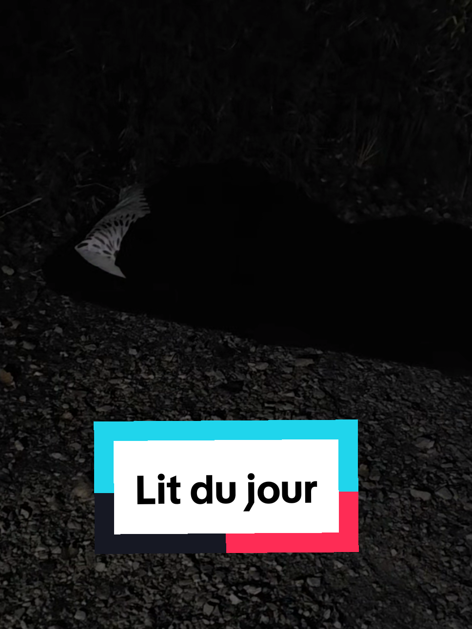 @Manu Solidaire 💝
