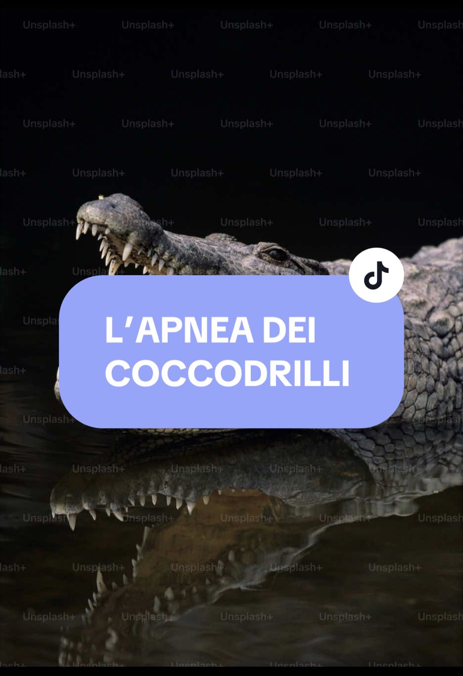 @Flaminia Scapigliati
