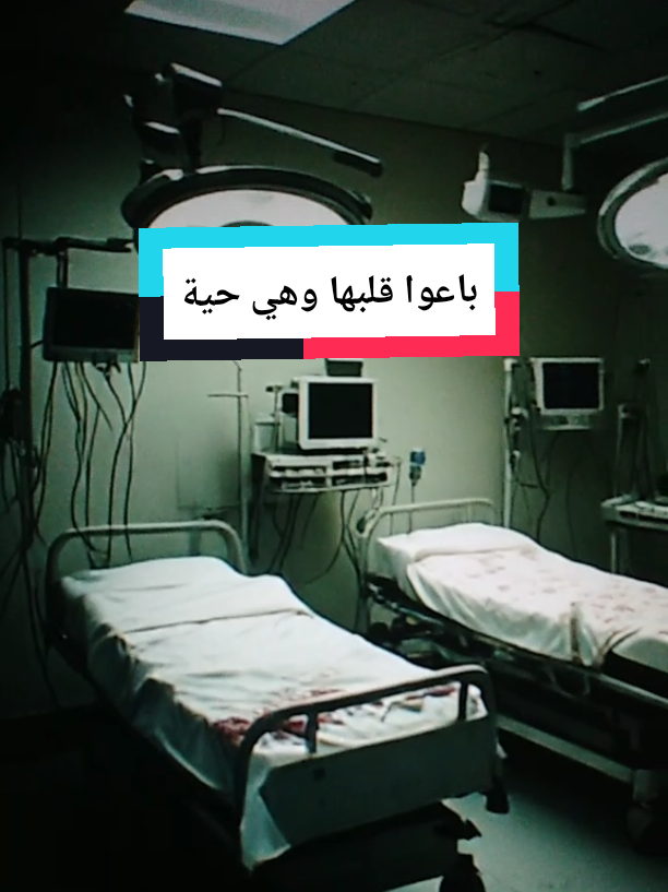 @Free Minds | العقول المتحررة💡