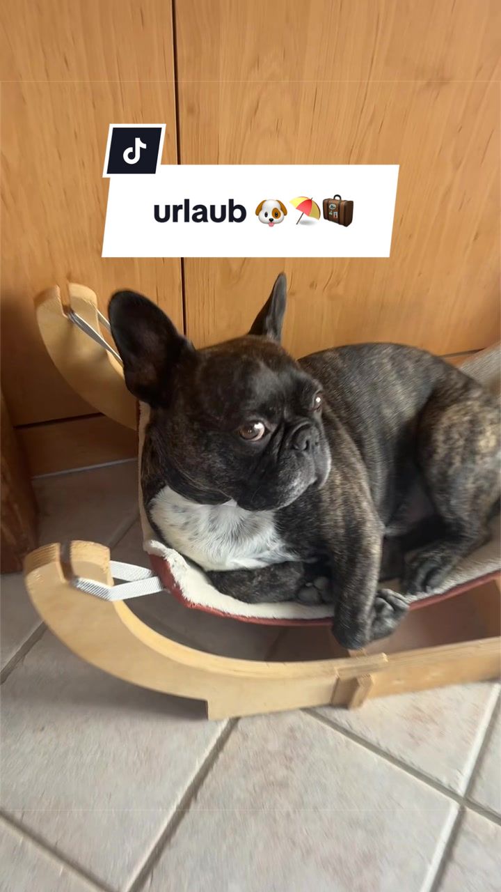 @Oscar ๐๐
๐