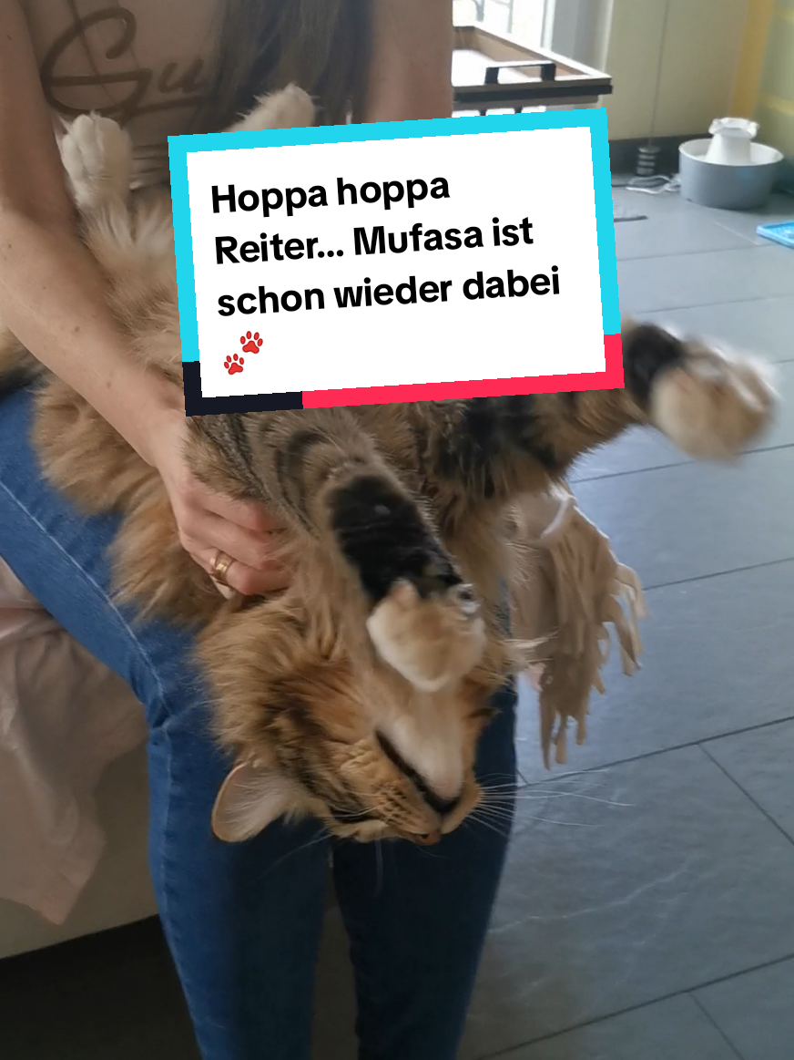 @animalslover