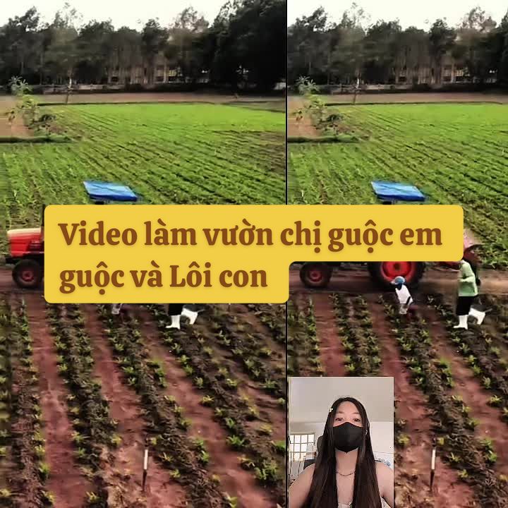 @alenipldtwm