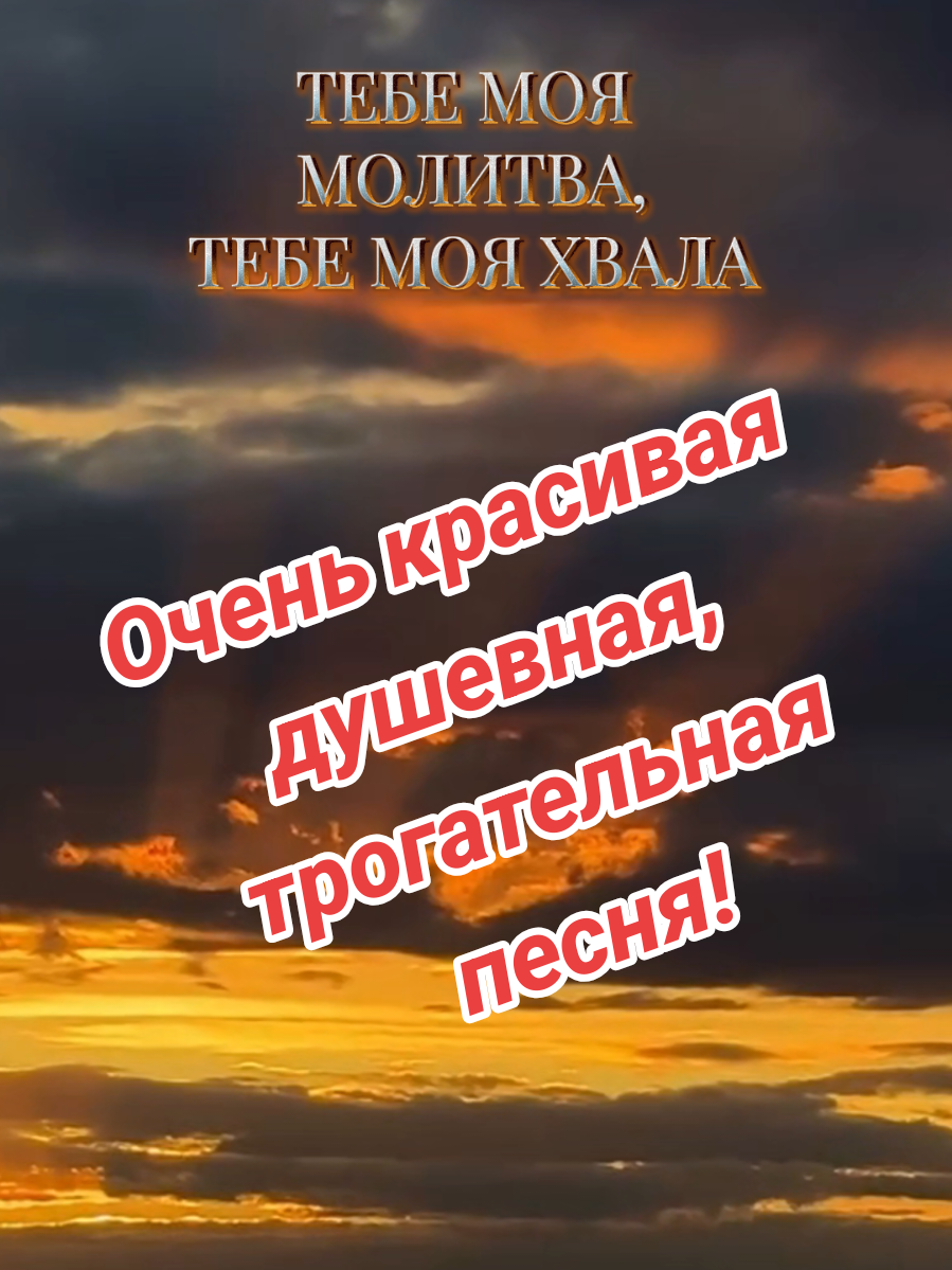 @✨Елена✨