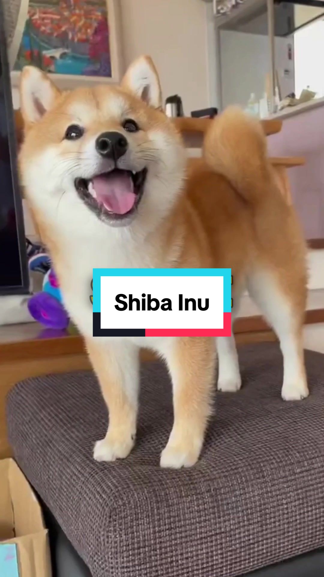 @FaunaFanatics