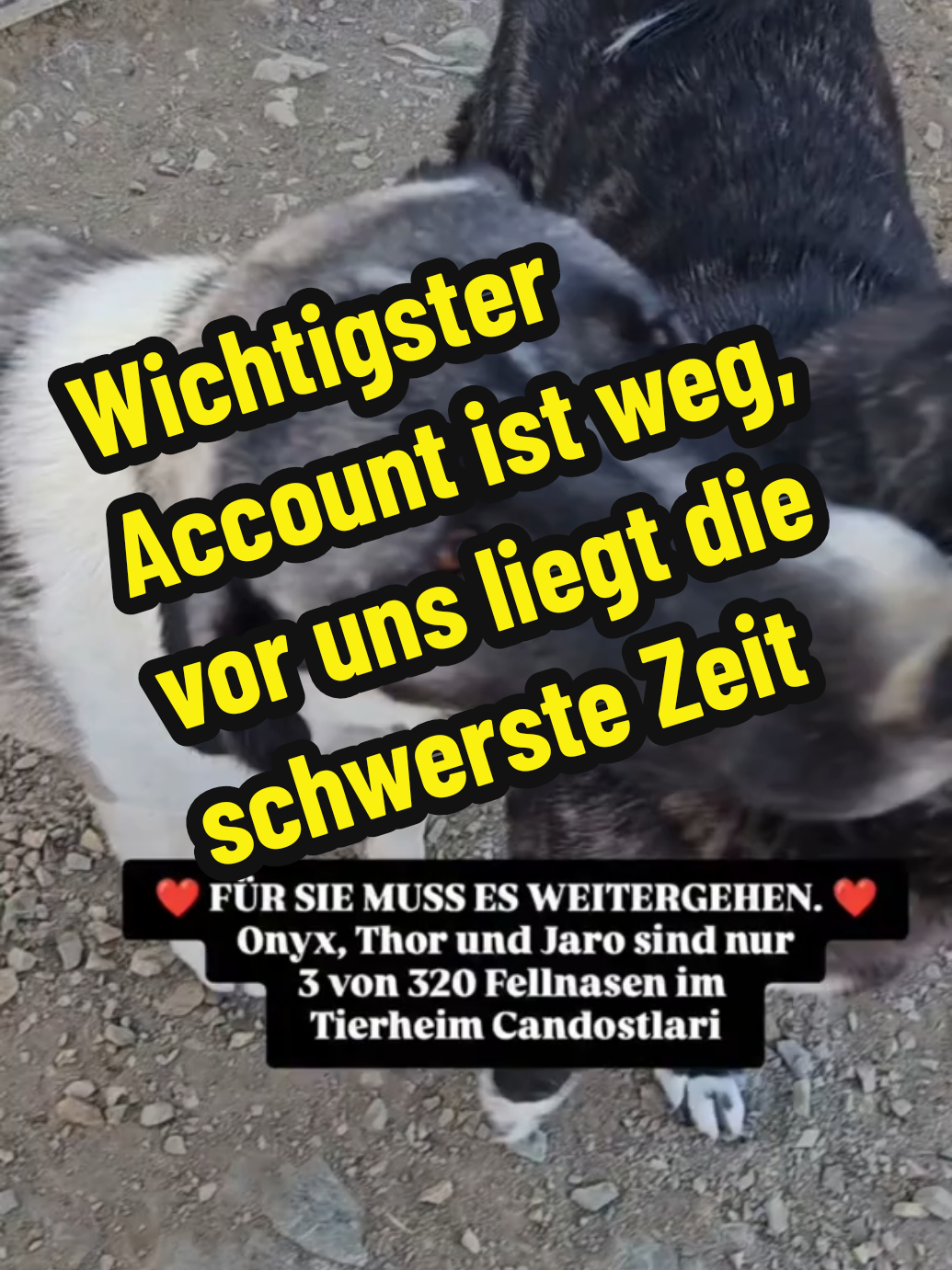 @TSV Candostlari-Beste Freunde