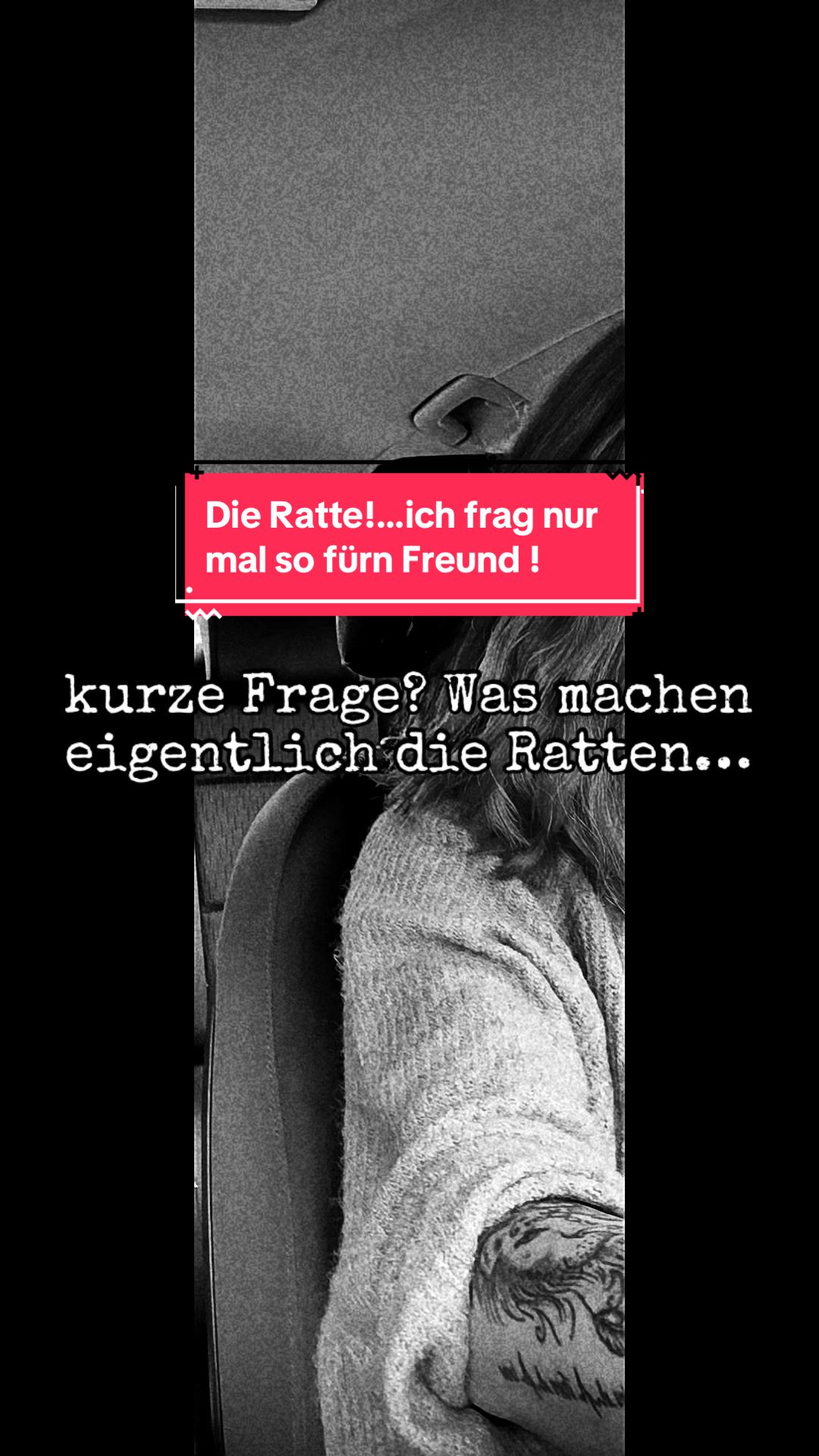 @🇩🇪🇦🇹SONNENSCHEIN🇩🇪🇦🇹