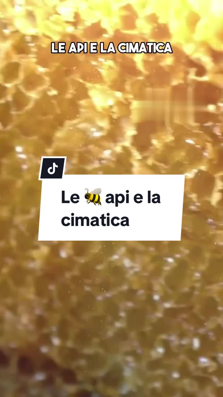 @DanieleScivoli