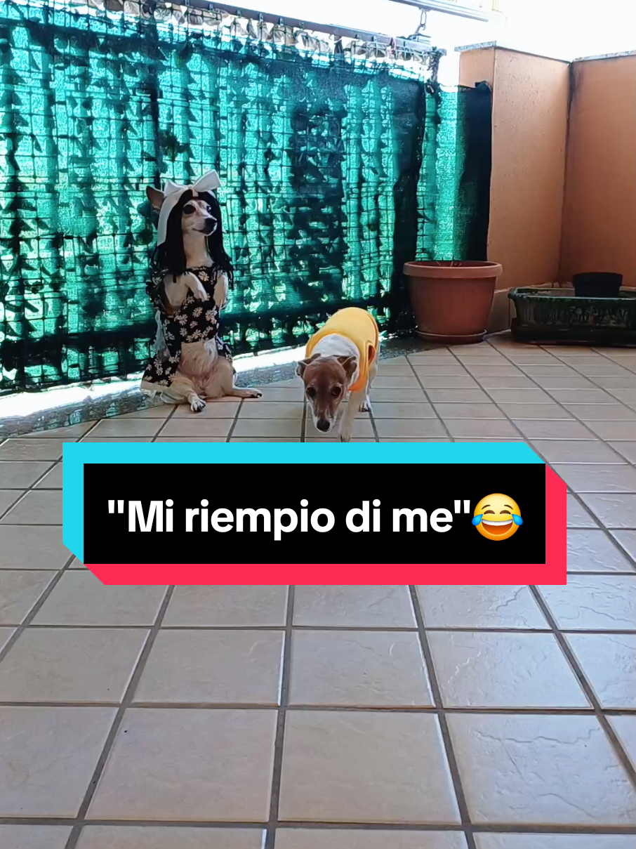 @MeryBS_Official