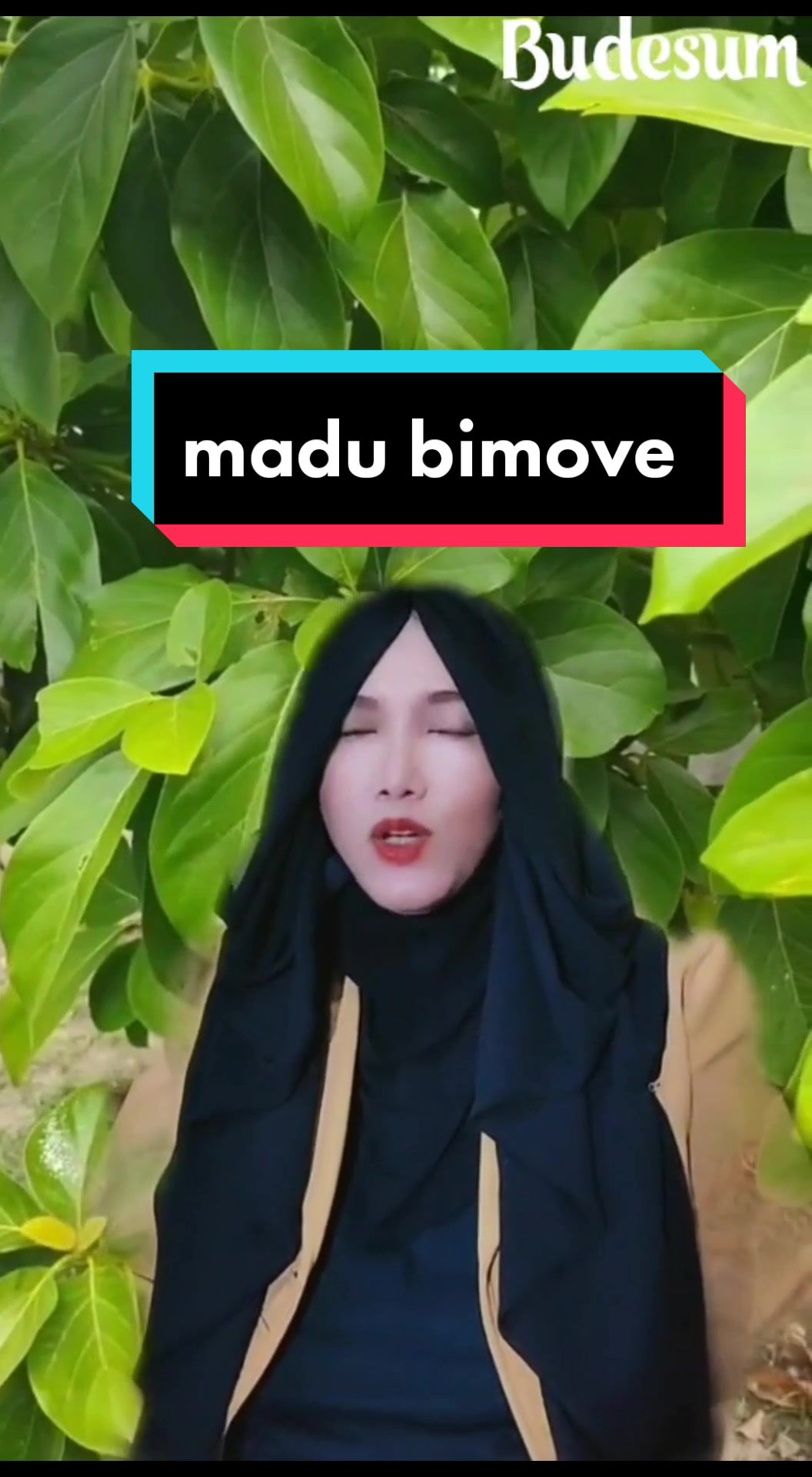 @budesum