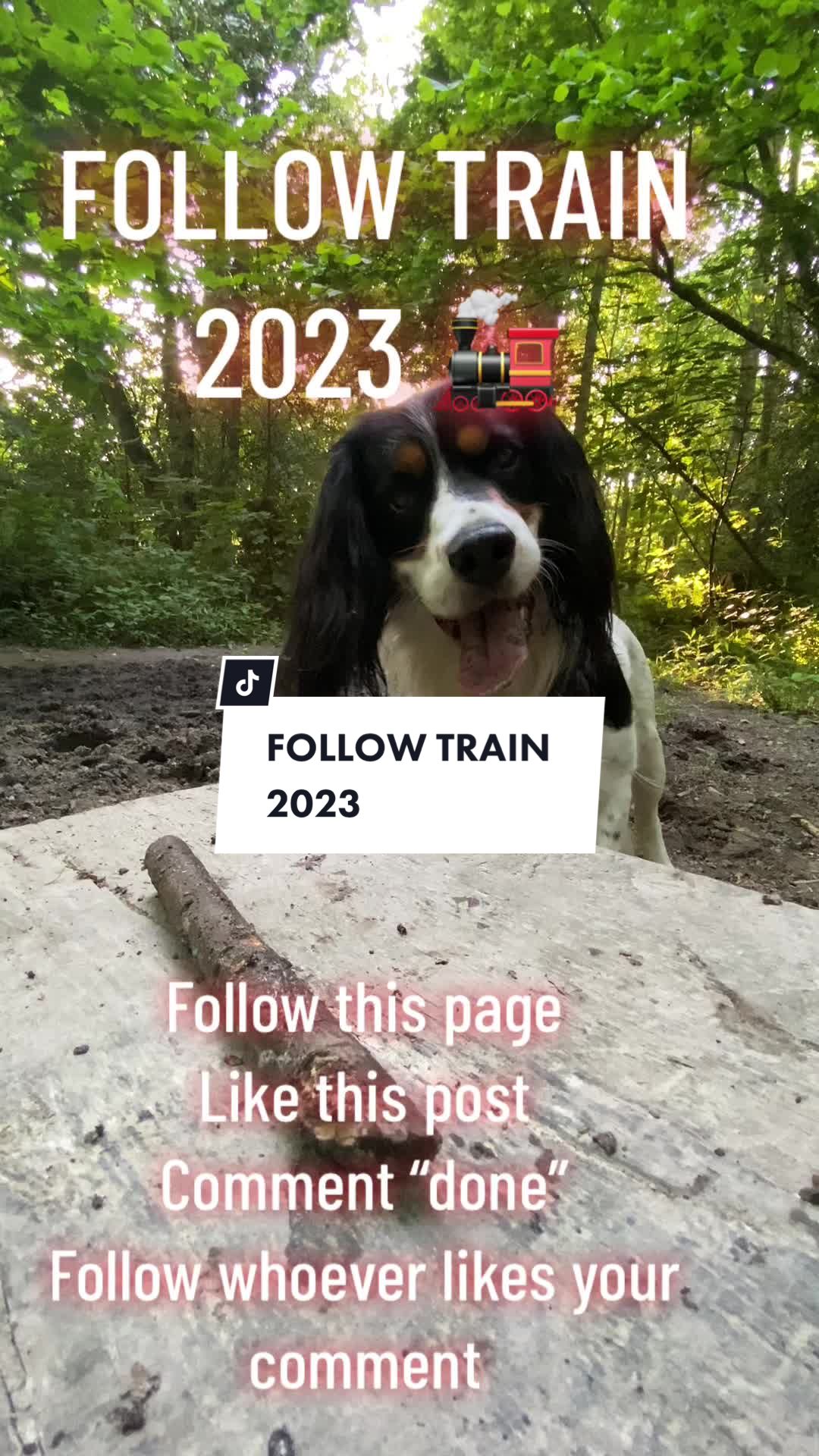 @FollowTrain2023