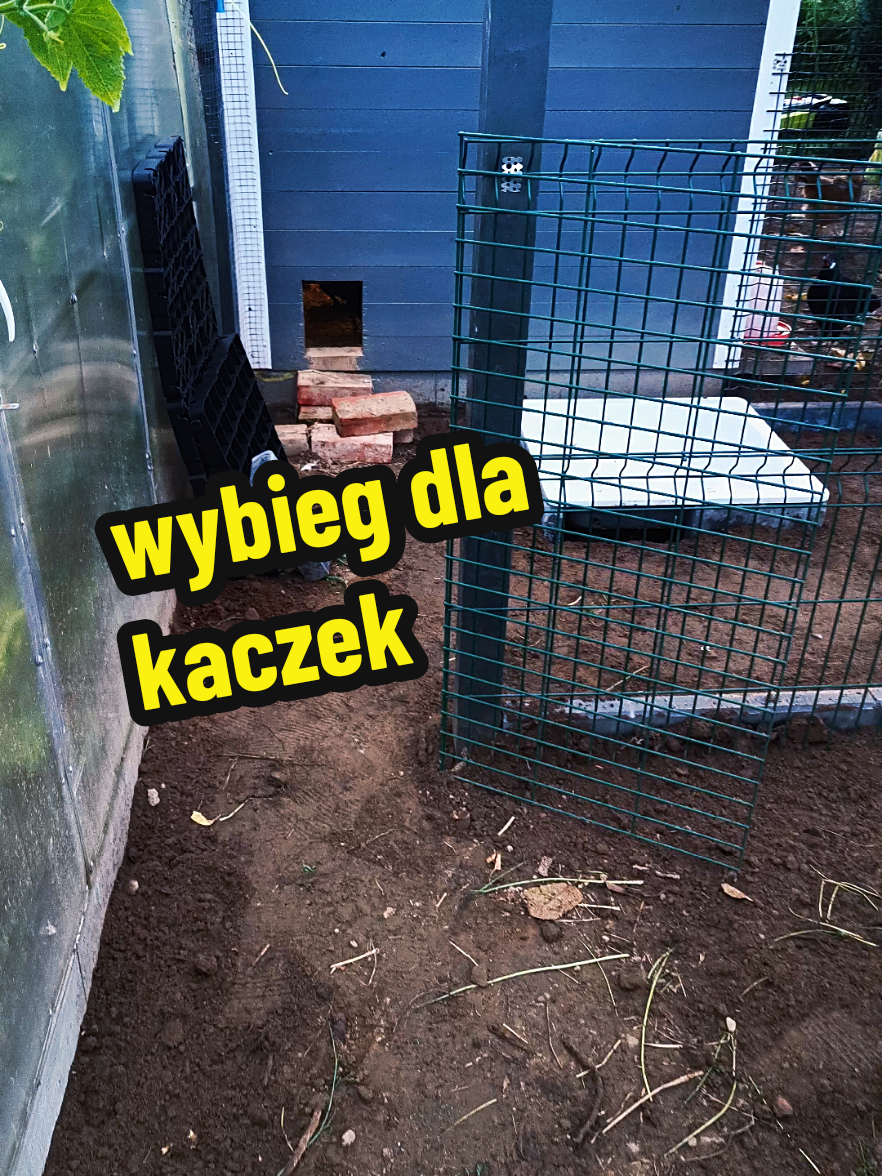 @Marcin ogrodnik