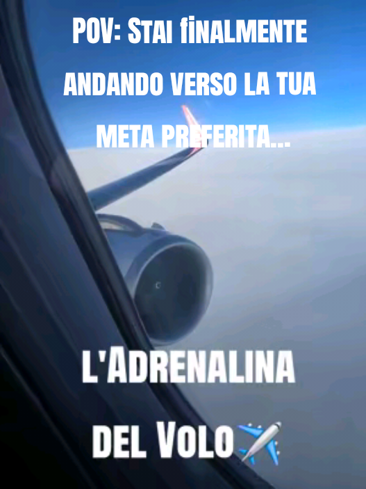 @Amàdo Travel