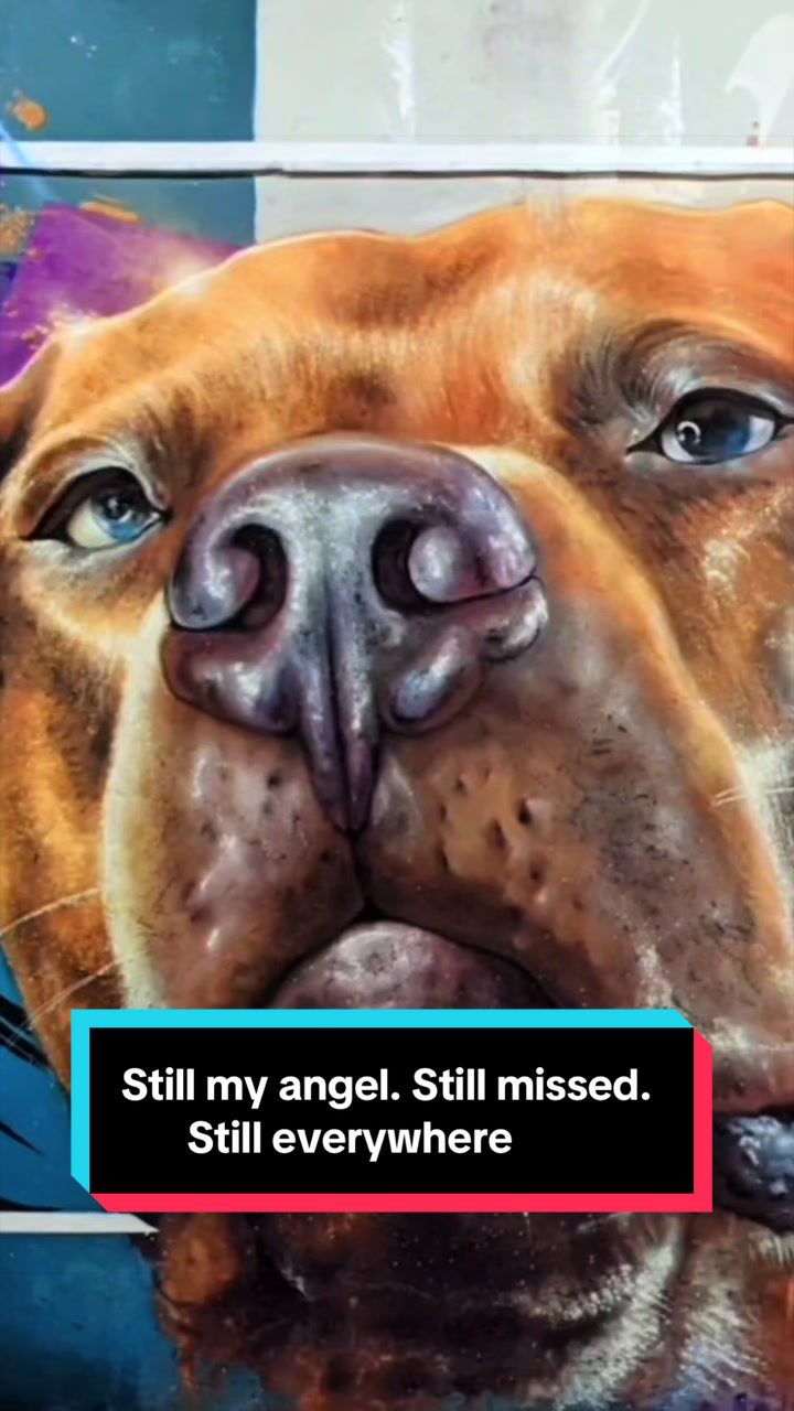 @Kaja & Macho 🥰