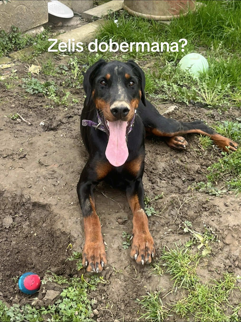 @Karmela