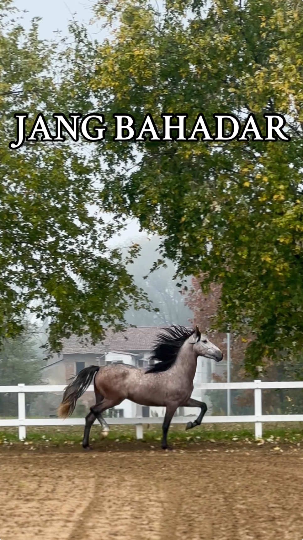 @Jorawar singh