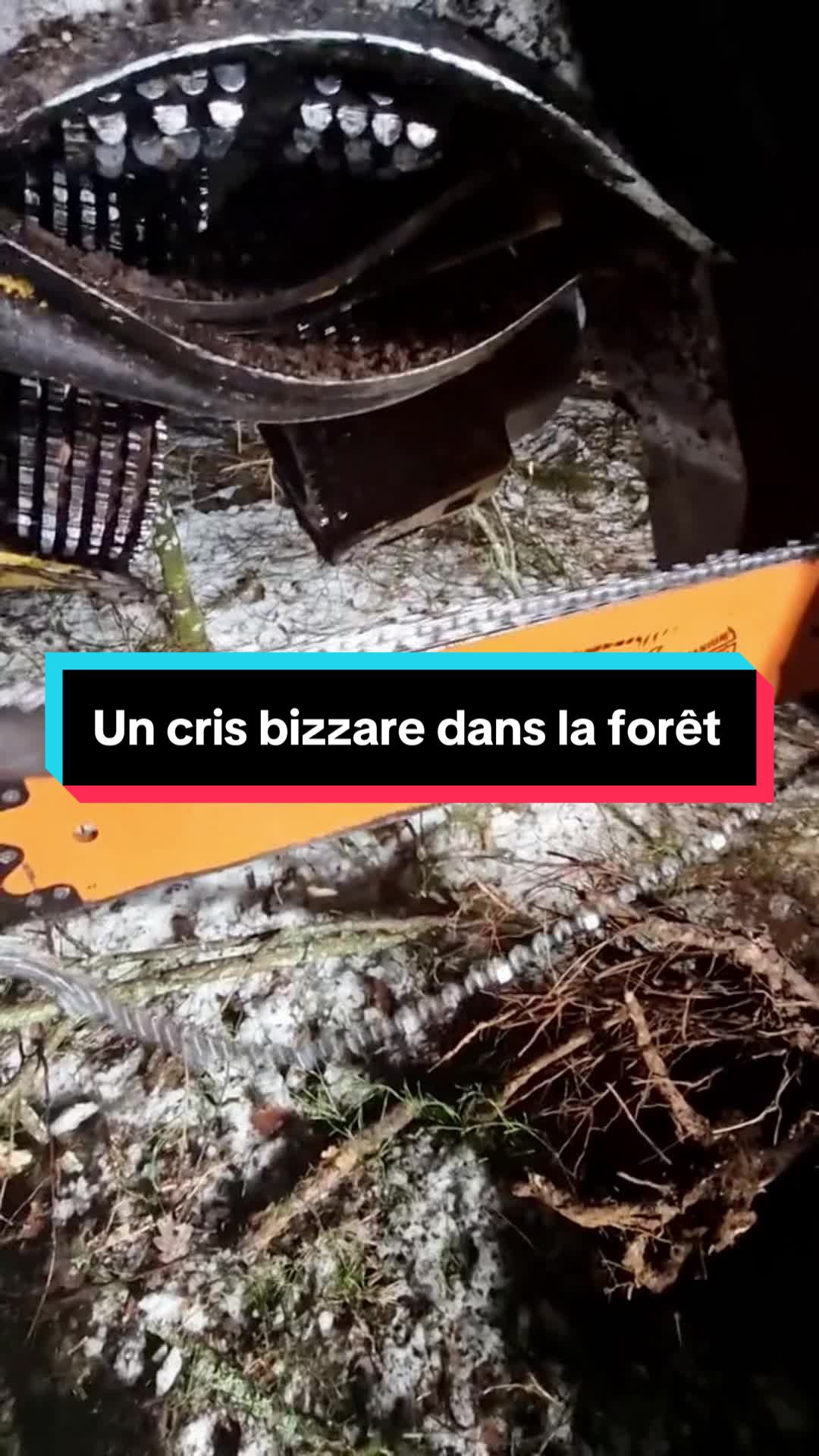 @Creemsy