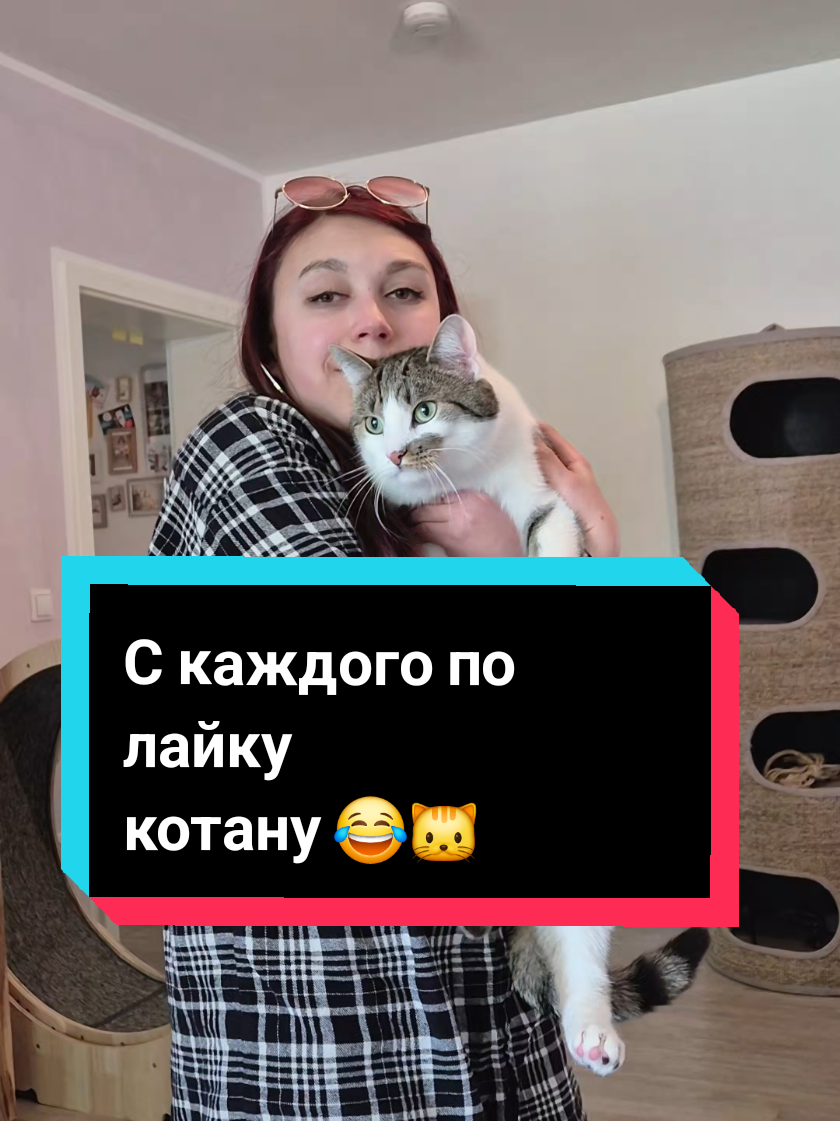 @ksematie