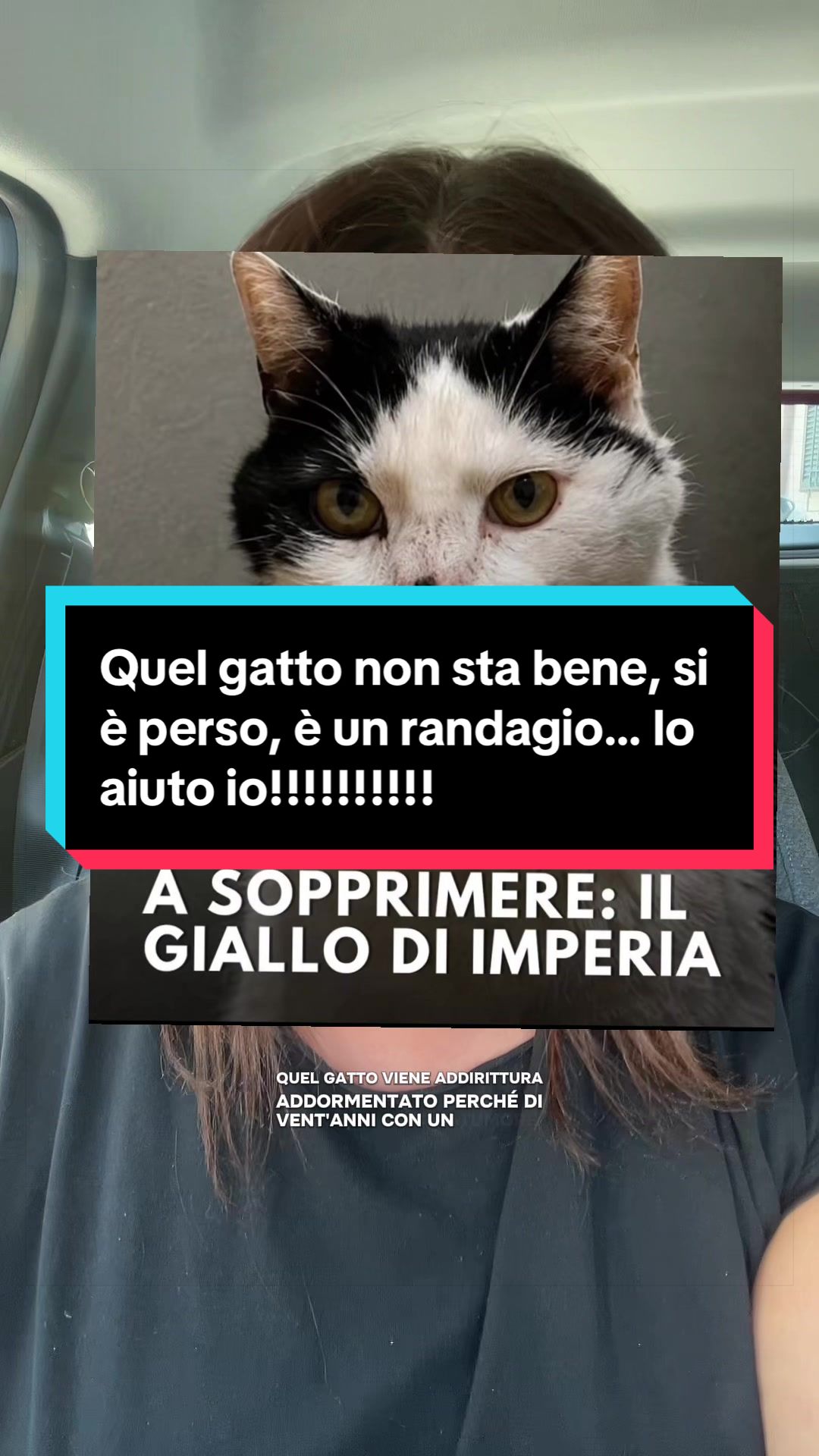 @Paolagemma Consulente Felina😻