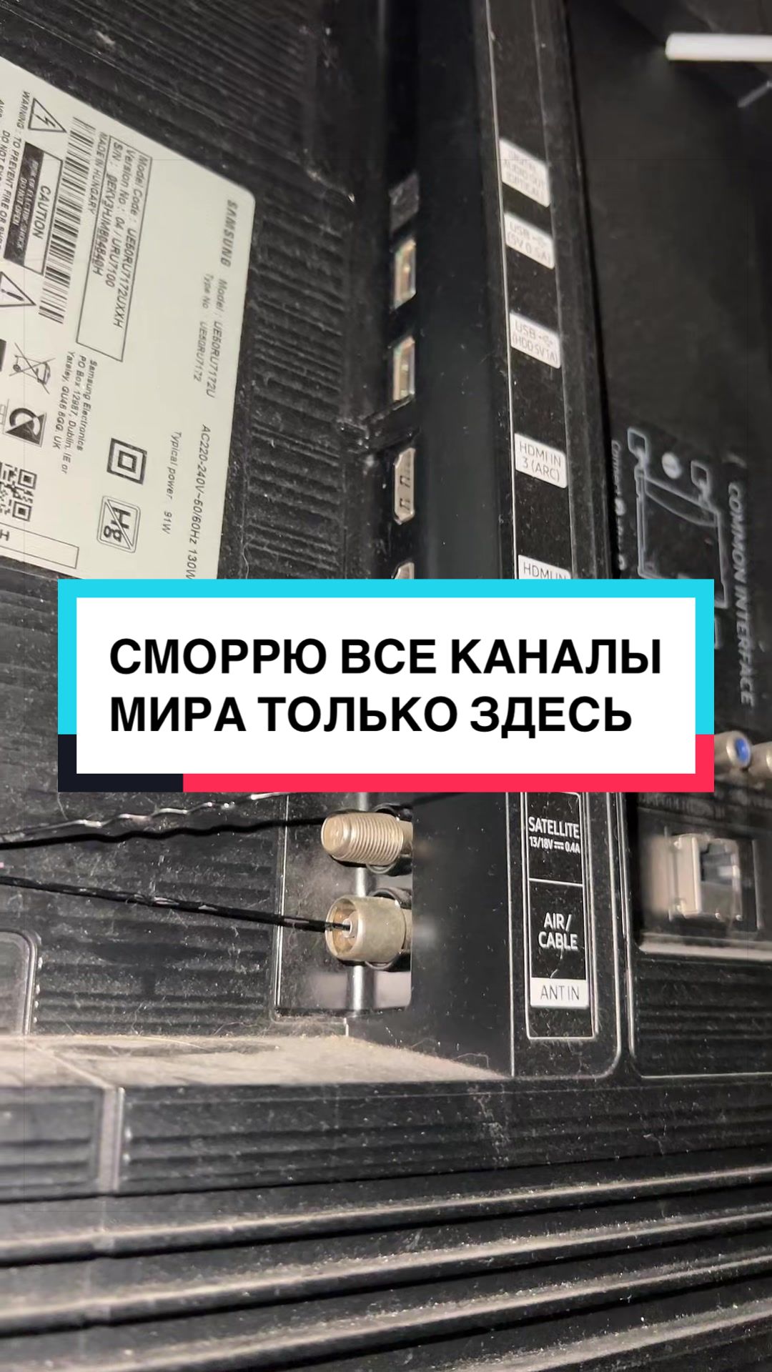 @laifhak_mozgi