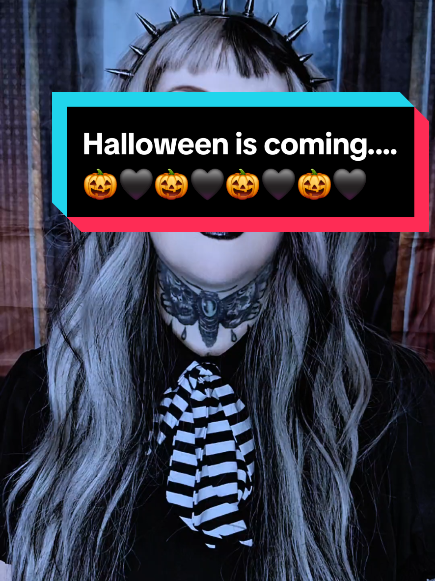 @🎃The Haunted Brush🎃