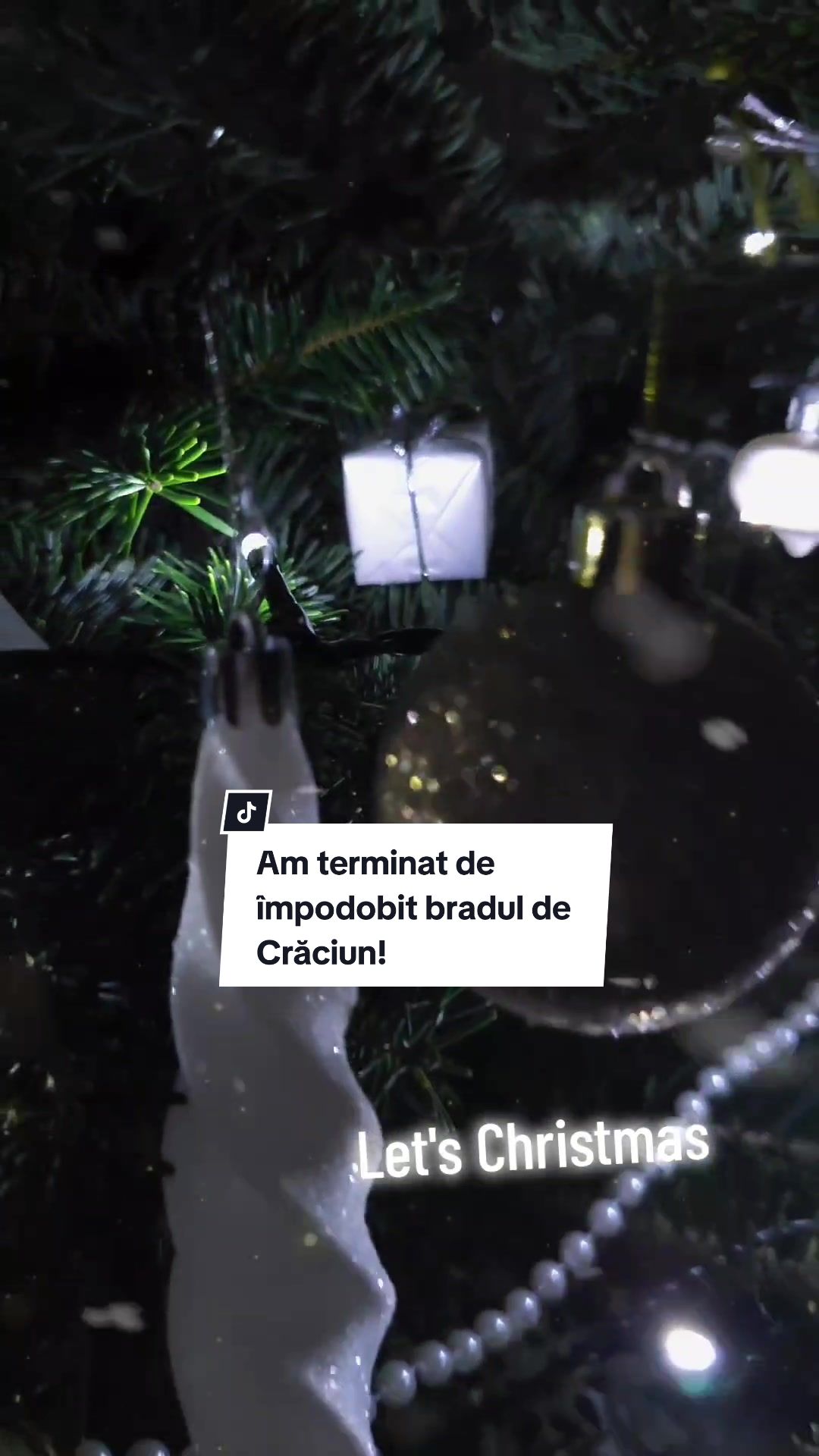 @Cristina Sucilea