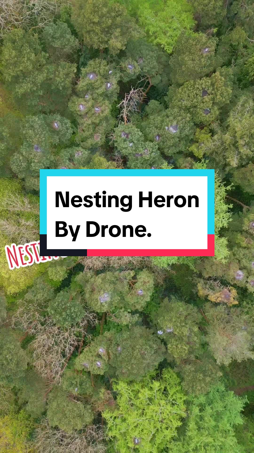 @Aerial Photography Wales