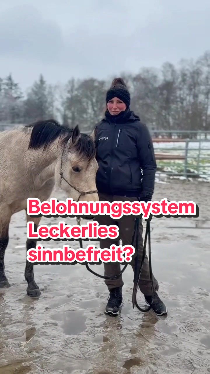 @Svenjaundclippy