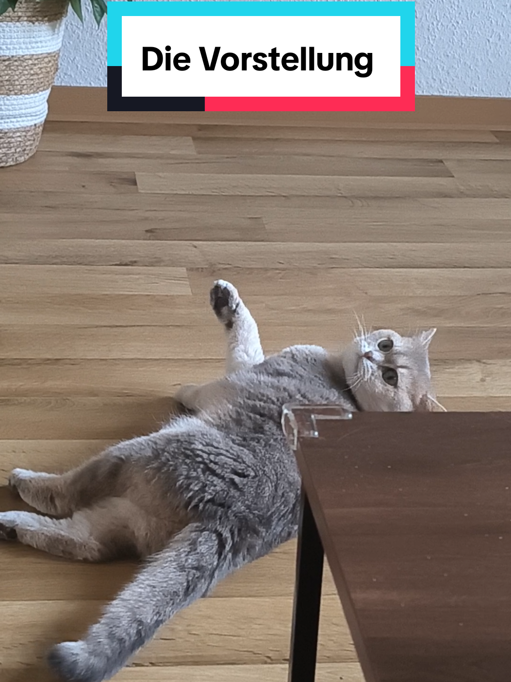 @Nala