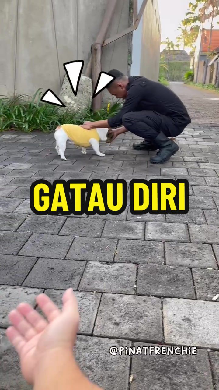 @PINAT SANJI