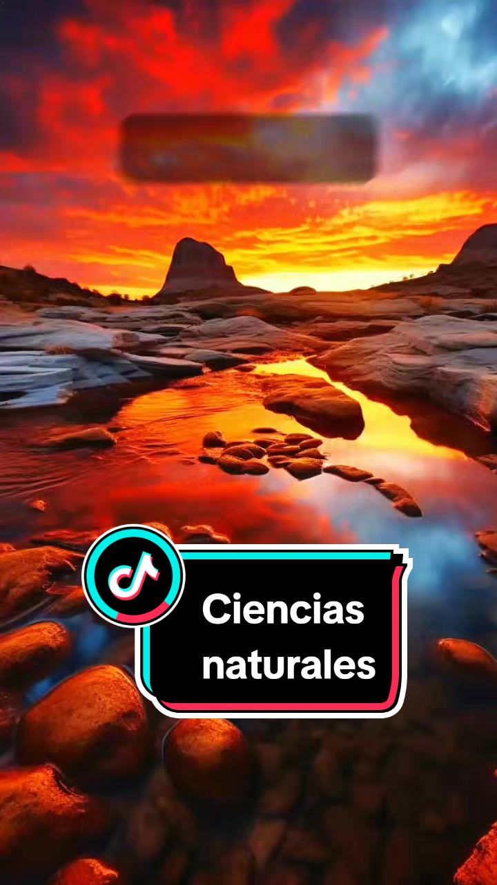 @cuantosabesde