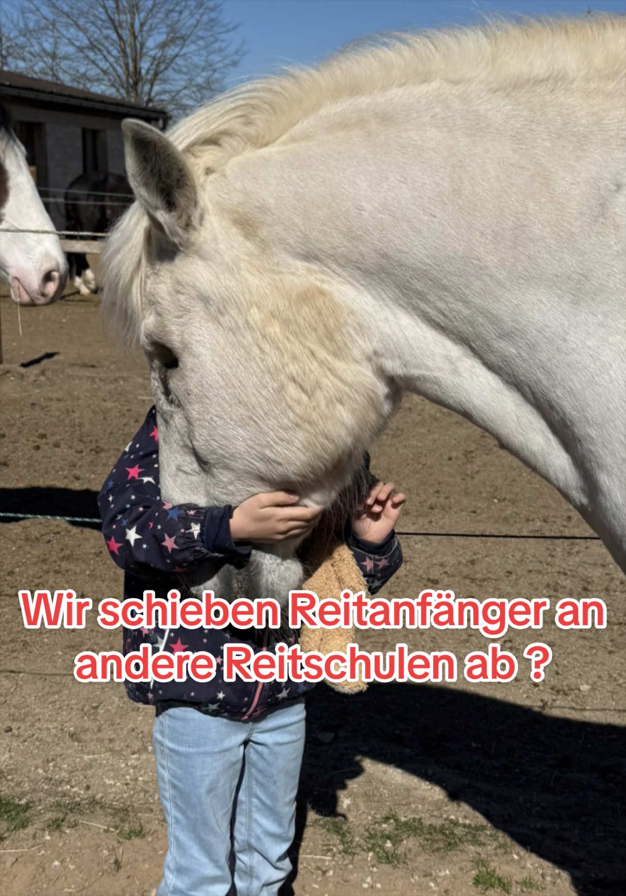 @Sophia • SL Reitschule