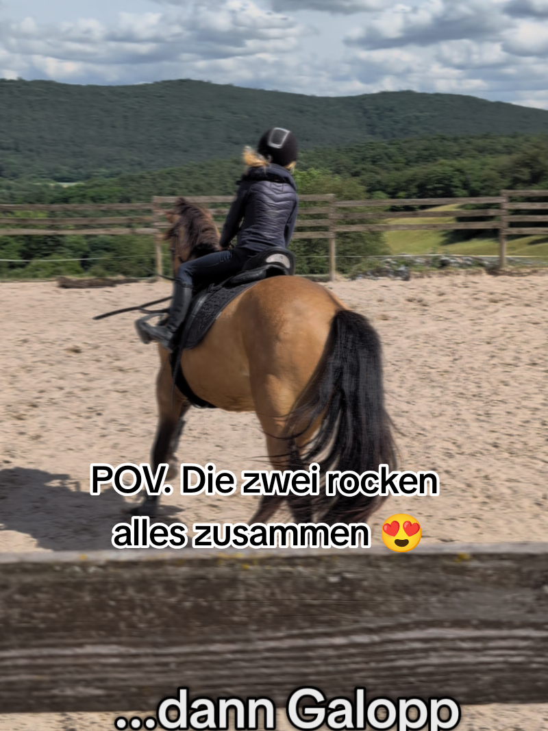@Caro_Sofie_Offenstallliebe