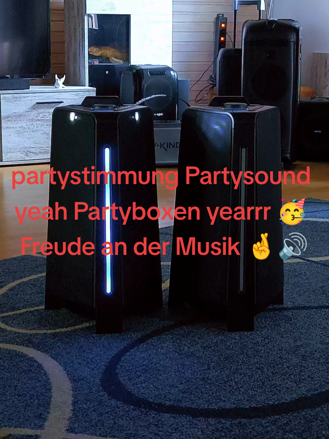 @DJ Feiermeister