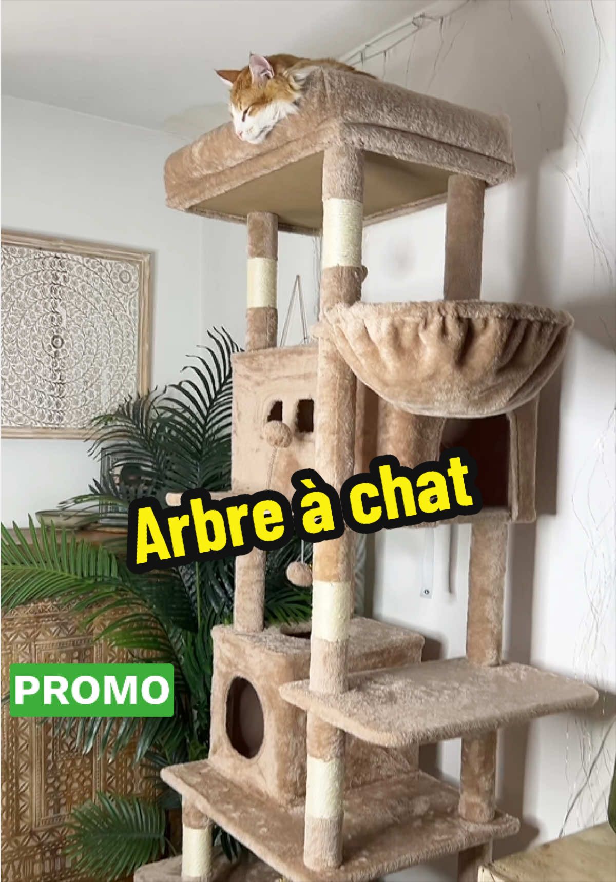 @Aur&eacute;lie et Maellia