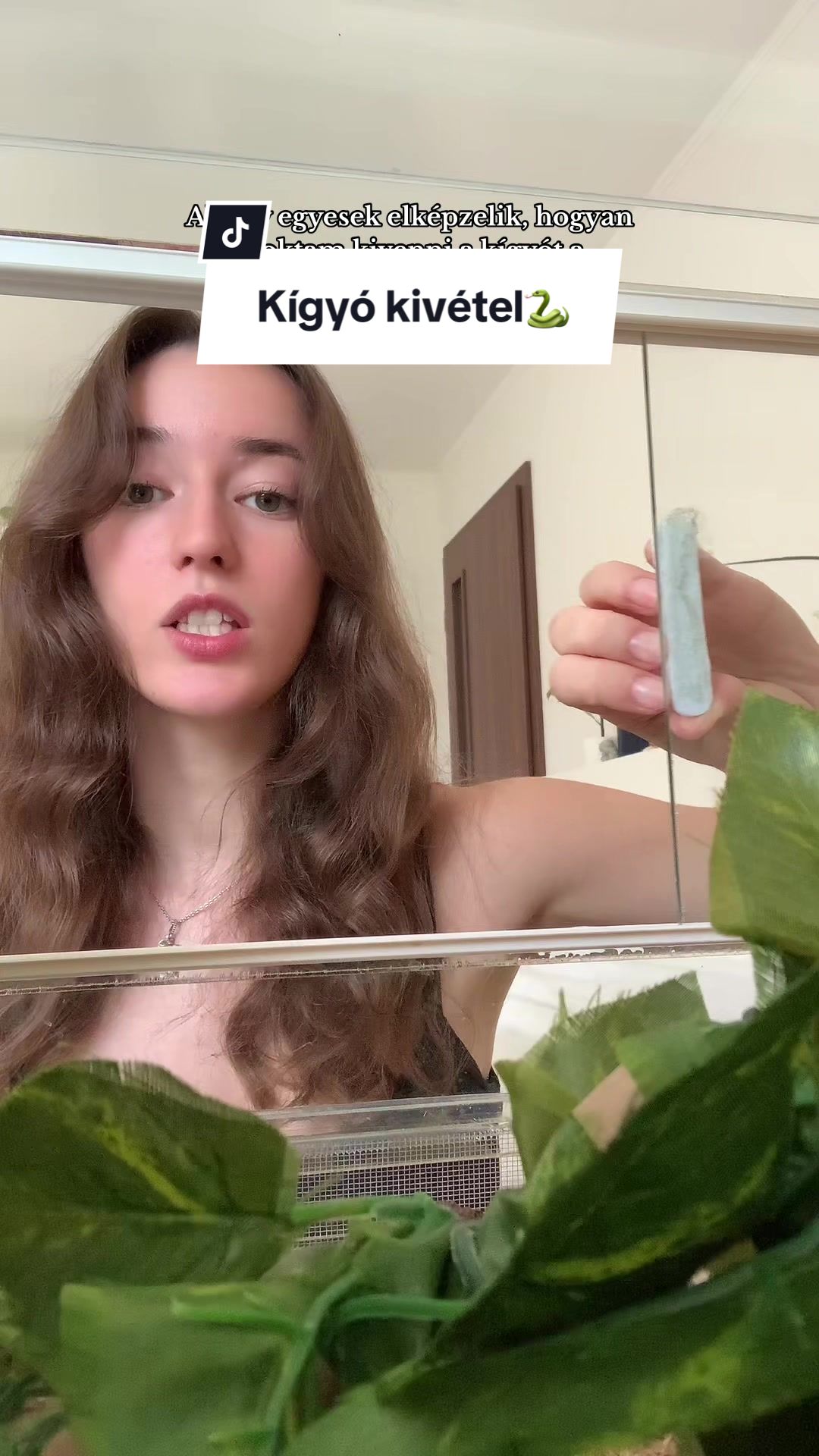@𝐑𝐞𝐢𝐤𝐚𝐩𝐞𝐭𝐫𝐚🧚🏻♂️