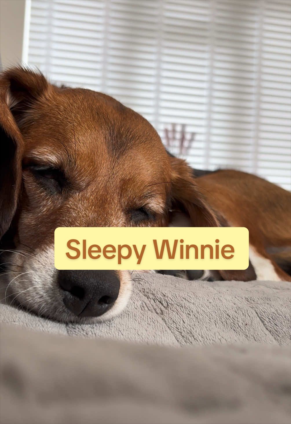 @Winnie&Sophie
