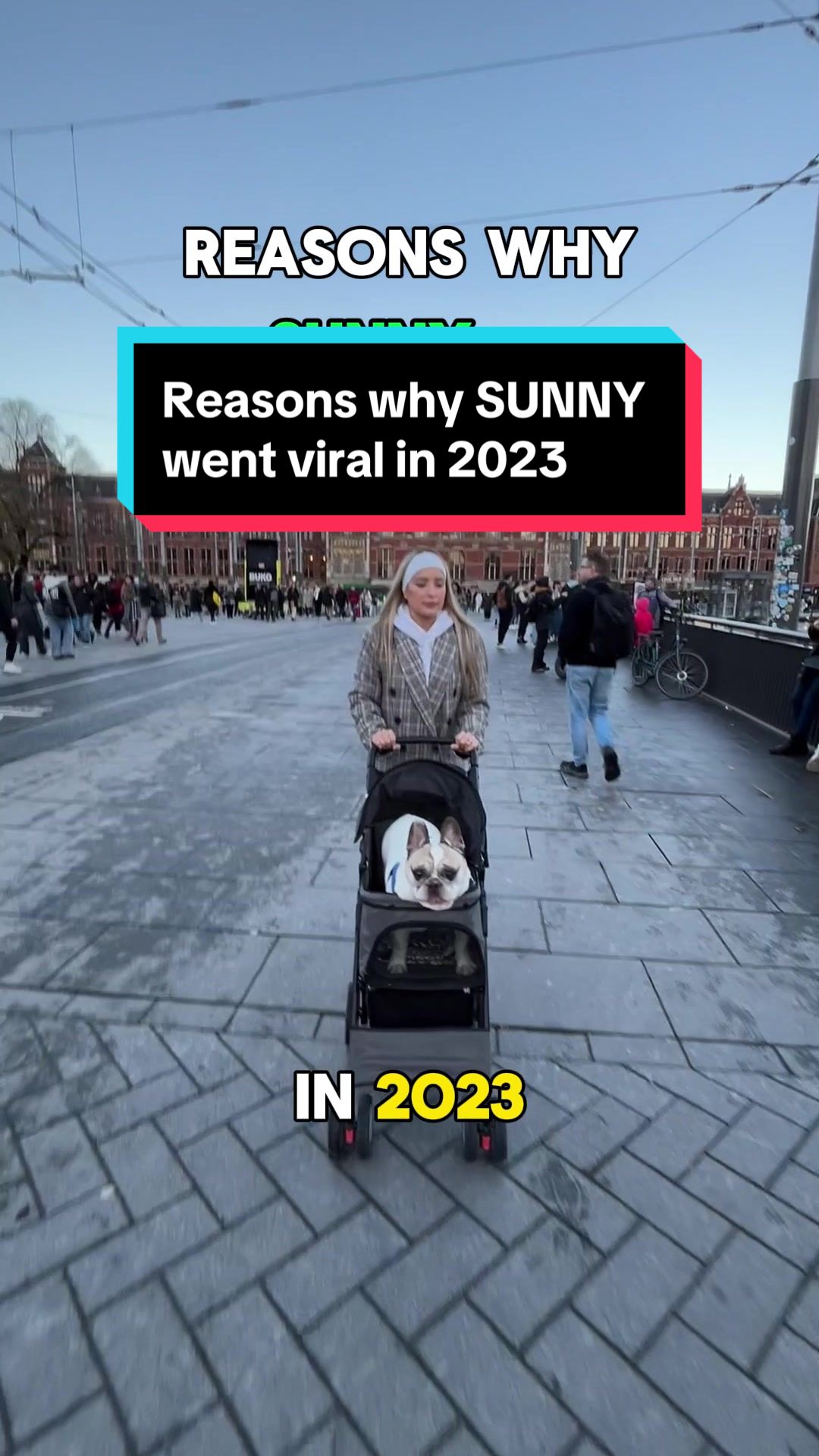 @Sunny 🐶