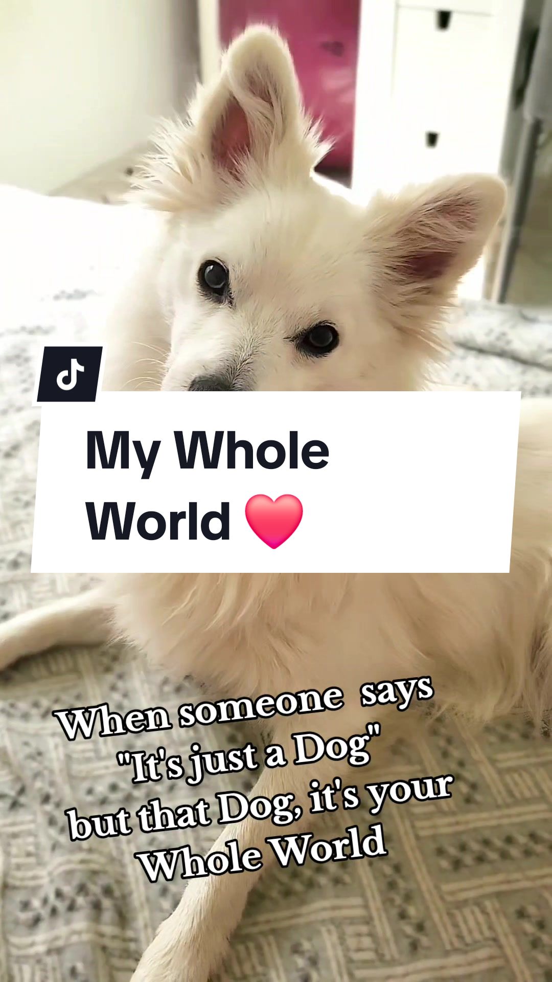 @TheWhitePrince👑