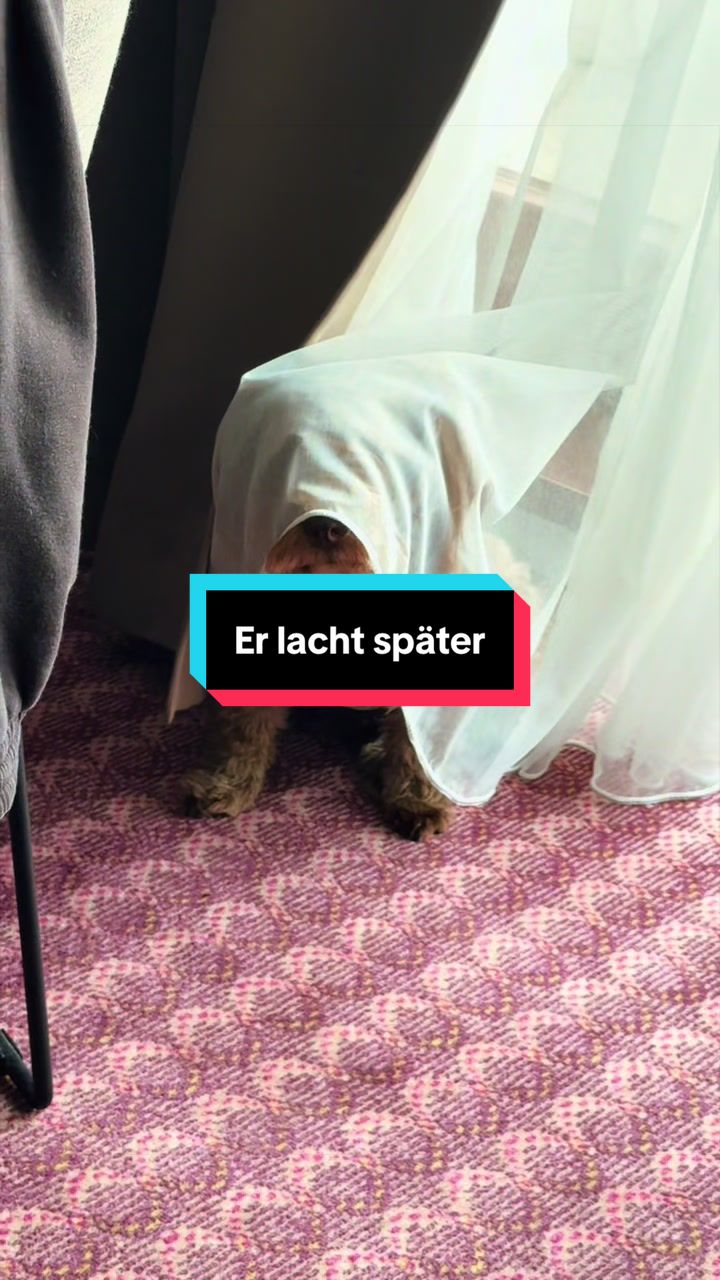 @doc.us