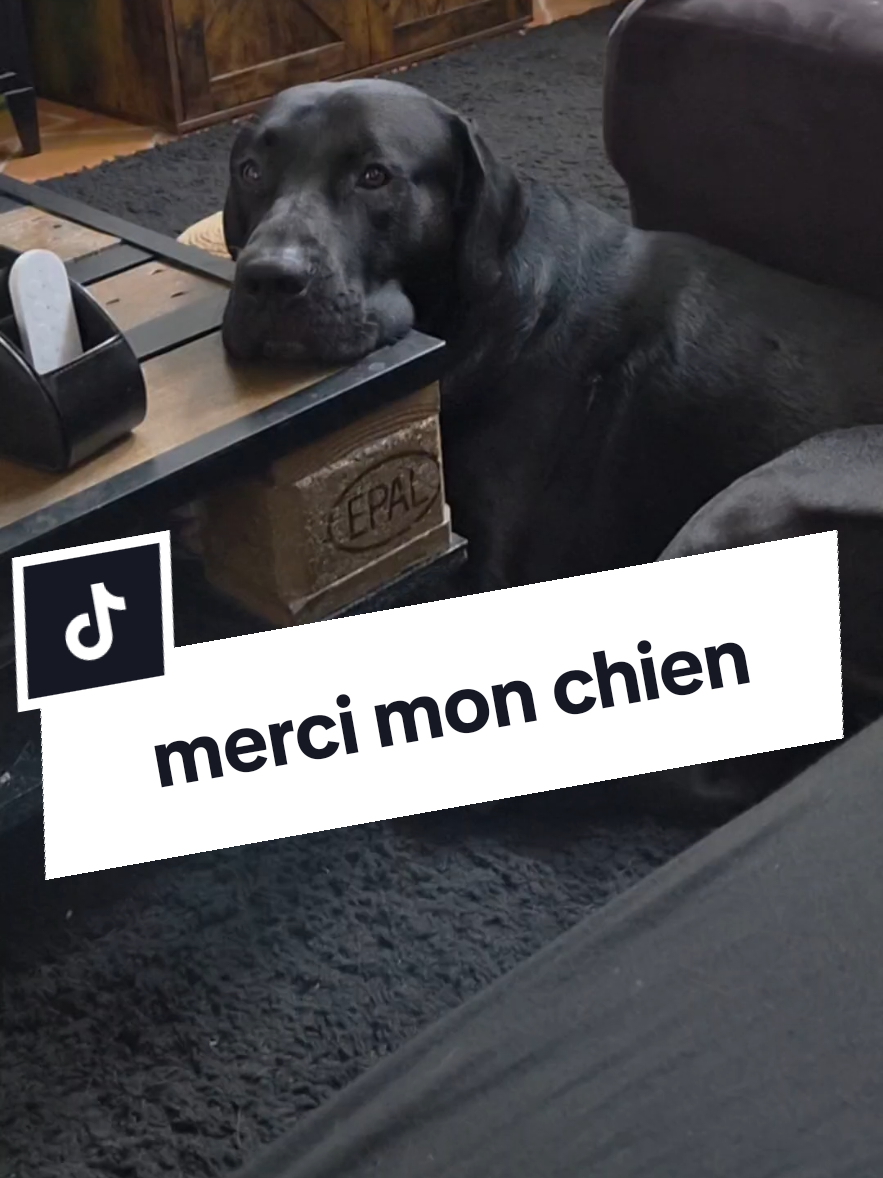 @Battman Batou