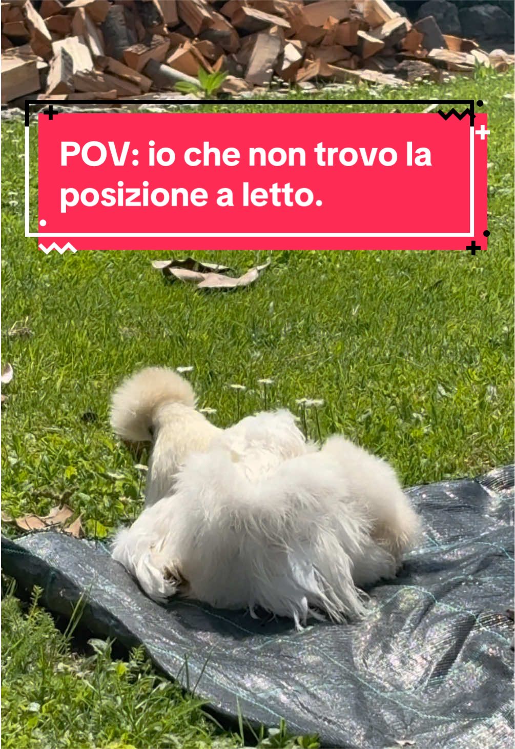 @Eleonora B.