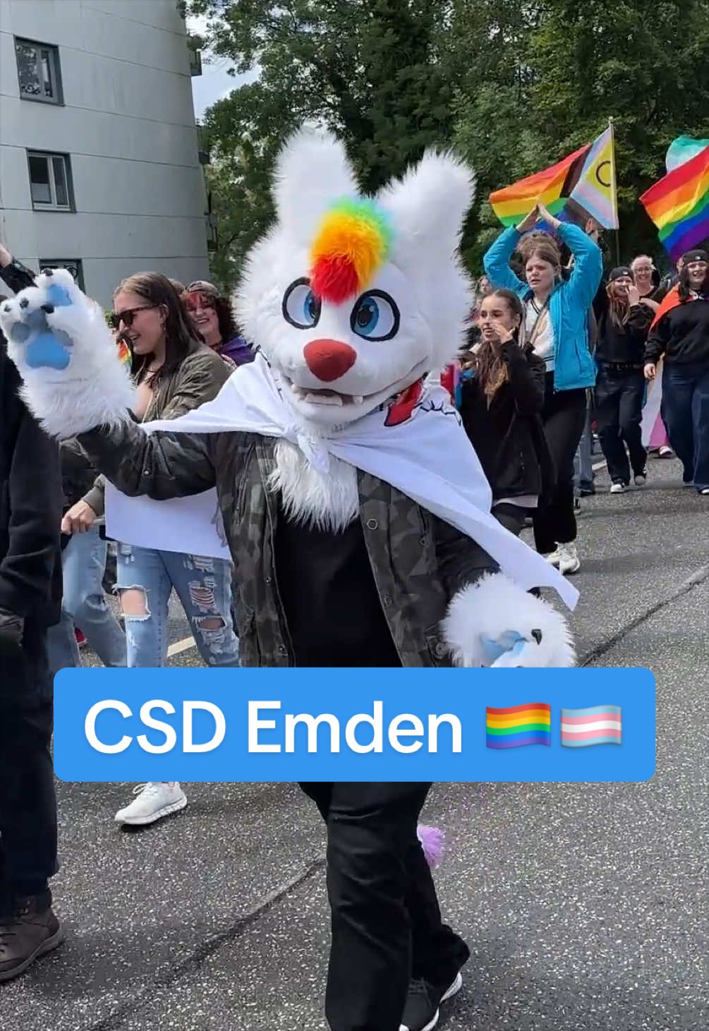 @Ostfriesen-Zeitung 🗞️